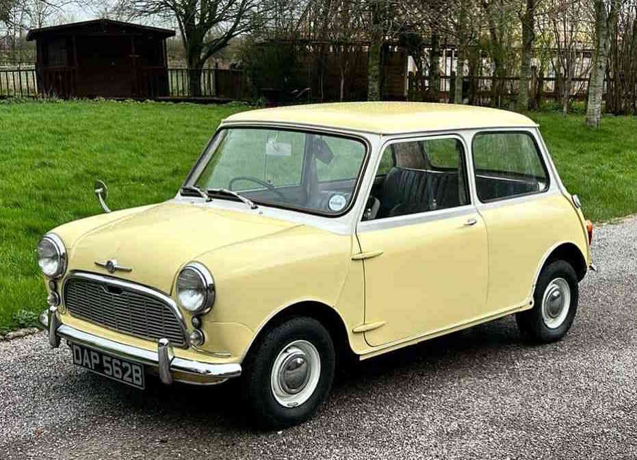 Mini Mk1 dealer colour scheme